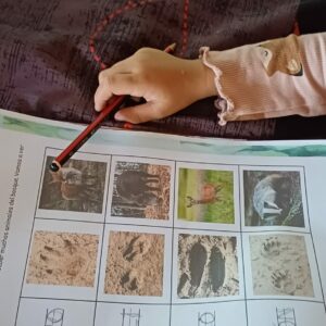 Cambios de membresías